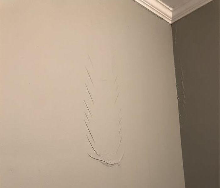 paint blister on wall showing damage