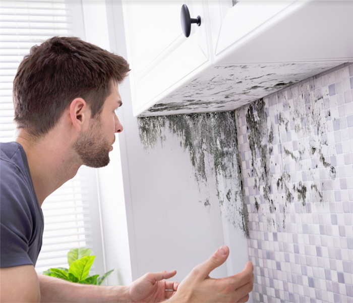 a man looking under a kitchen cabinet to find mold growing on the wall