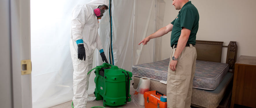 Fort Lauderdale, FL mold removal process